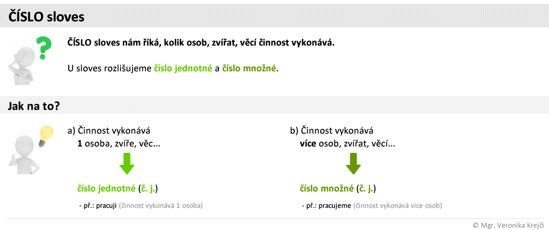 cj slovesa cislo